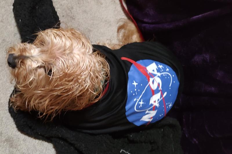 He loves to dress up.  Maximillion- our space cadet.