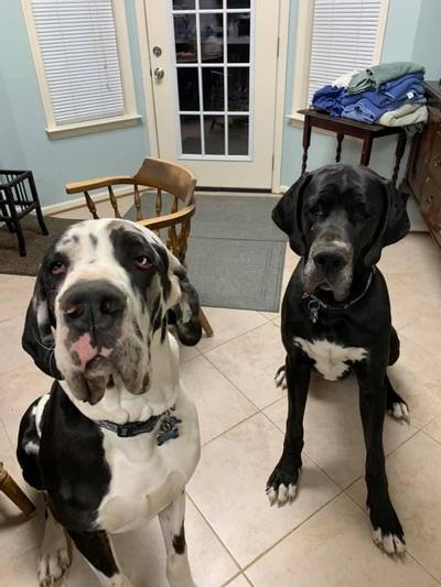Axl and Zoren