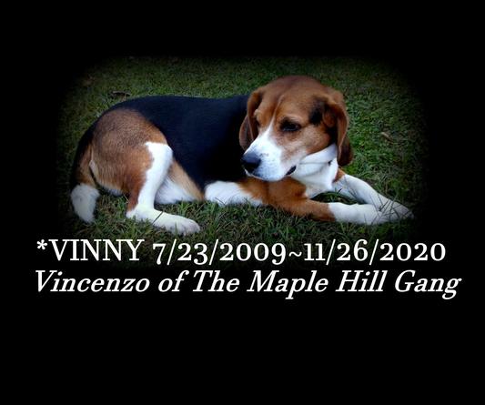 Vinny Farewell 7/23/2009~~11/26/2020