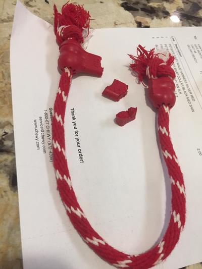 KONG Goodie Bone with Rope Dog Toy X Small Chewy