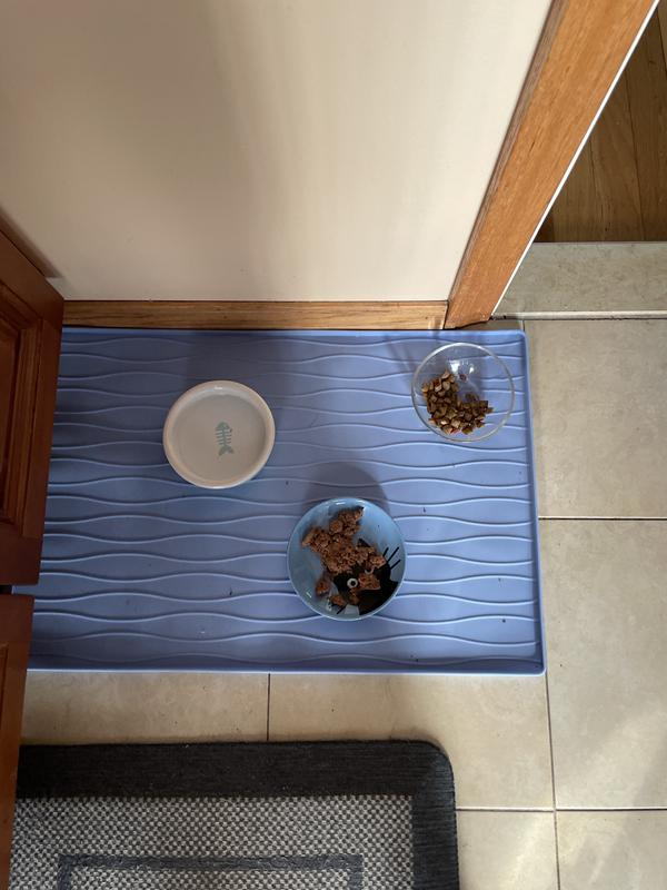 FRISCO Silicone Dog & Cat Food Mat, Blue, Large - Chewy.com