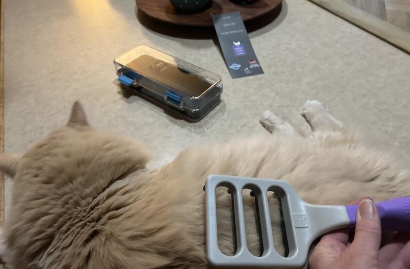 Size of Brush compared to my cat and how long the cats fur is