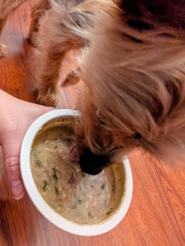 Taste (dog approved)