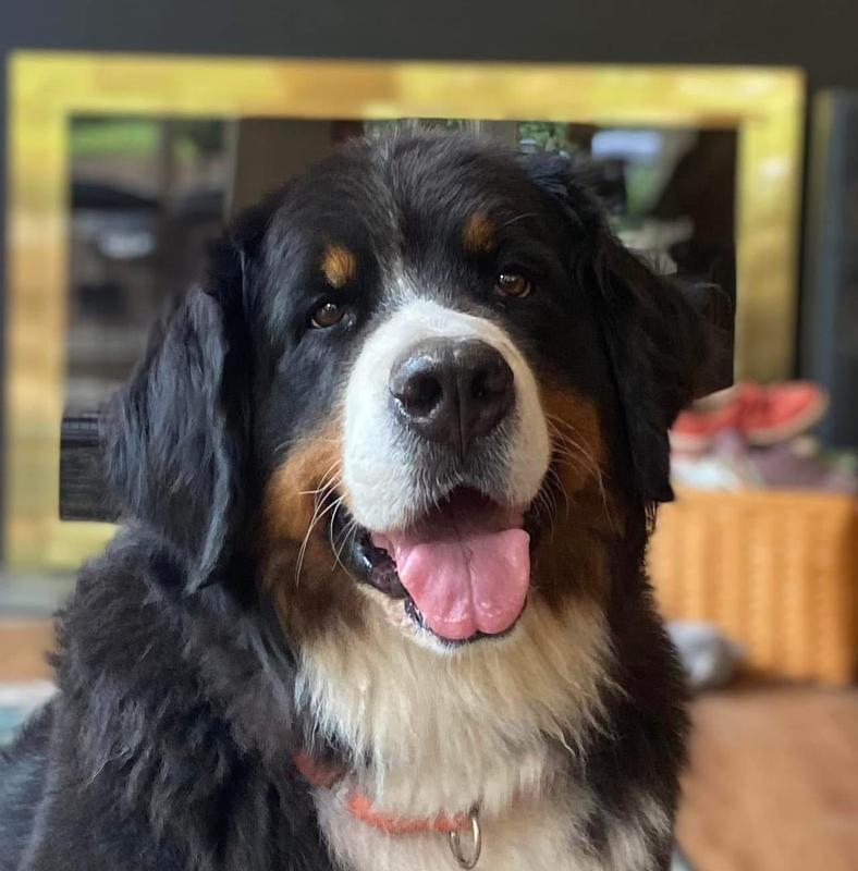 One of the local hoodlums