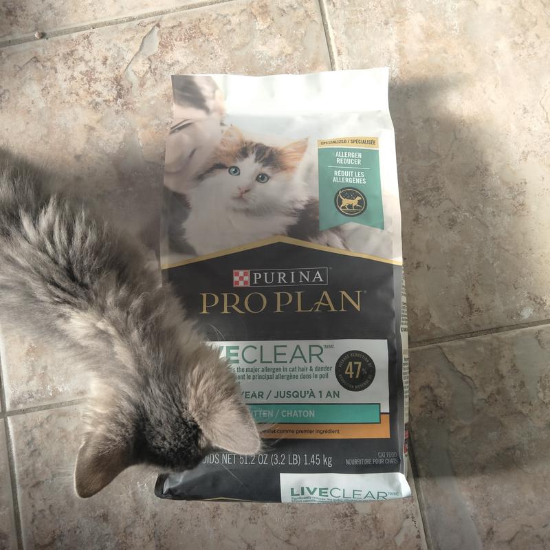 PURINA PRO PLAN LiveClear Kitten Chicken & Rice Formula Dry Cat