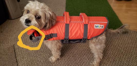 Outward Hound Granby Splash Dog Neoprene Life Vest