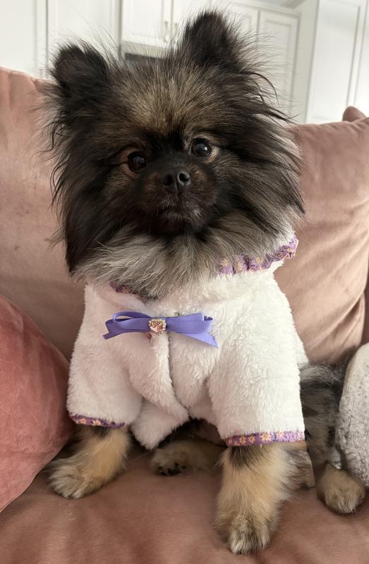 Gorgeous coat handsome fella