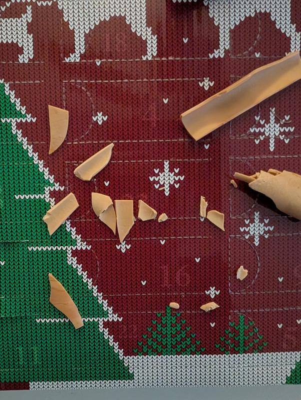 Broken pieces of the bone