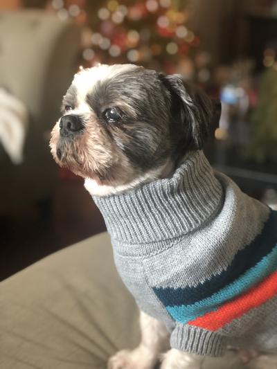 Looking so dapper this Christmas in this turtleneck!