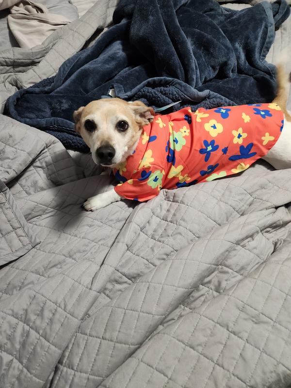 Hattie looking sweet