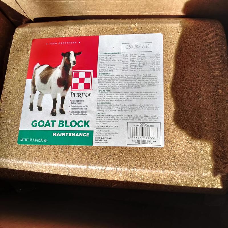 all the good stuff for your goatie!