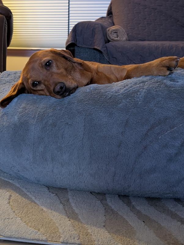 Could she be any more comfy?