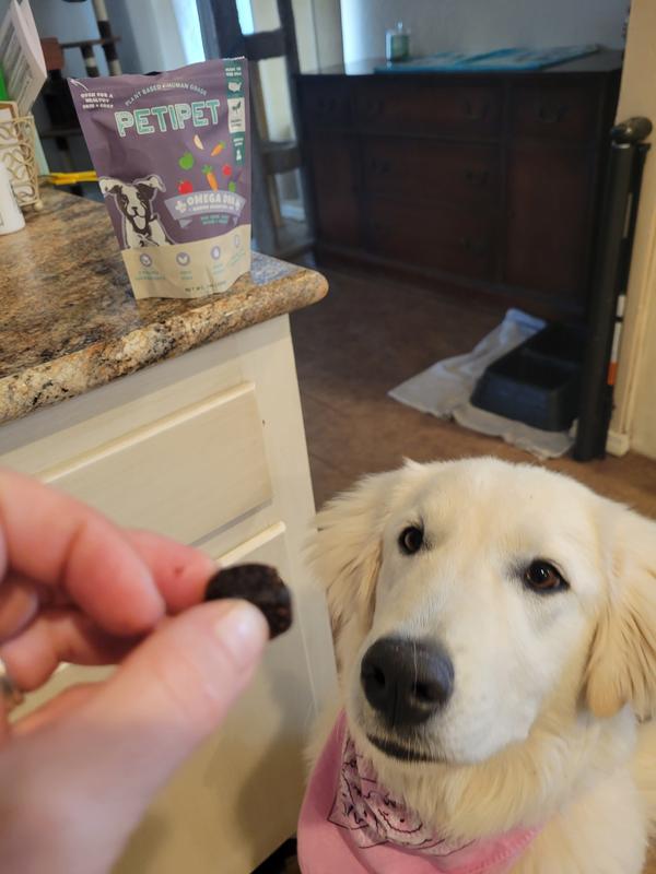 Opal doesn't normally love fruit, but LOVED these!