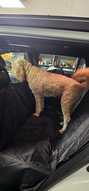 She is looking over the edge of the cover.