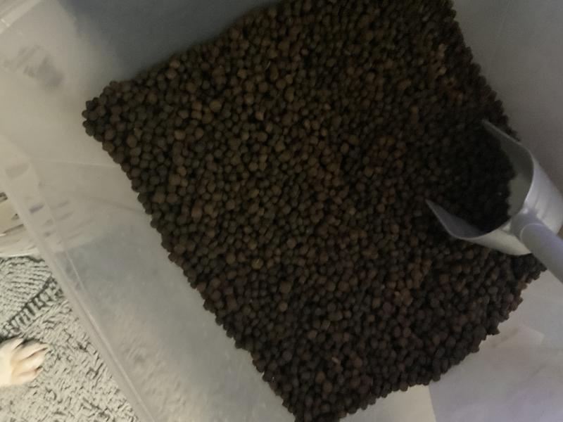 There were only a few raw pieces