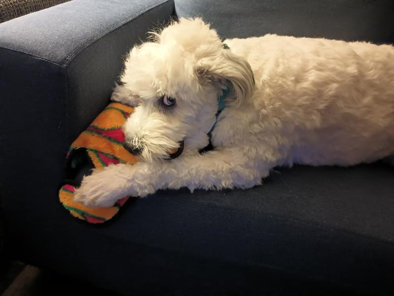 It's serious work trying to destroy the indestructible