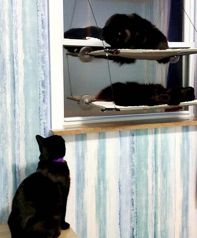 K&H Pet Products Window Double Lounger Cat Perch, Natural, 23x12-in