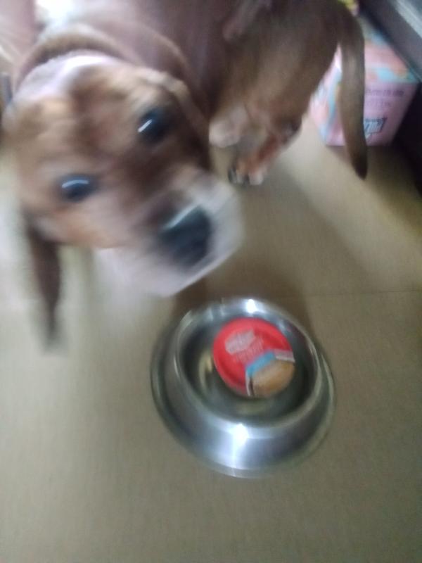I'm So Excited! Please Open My Food!