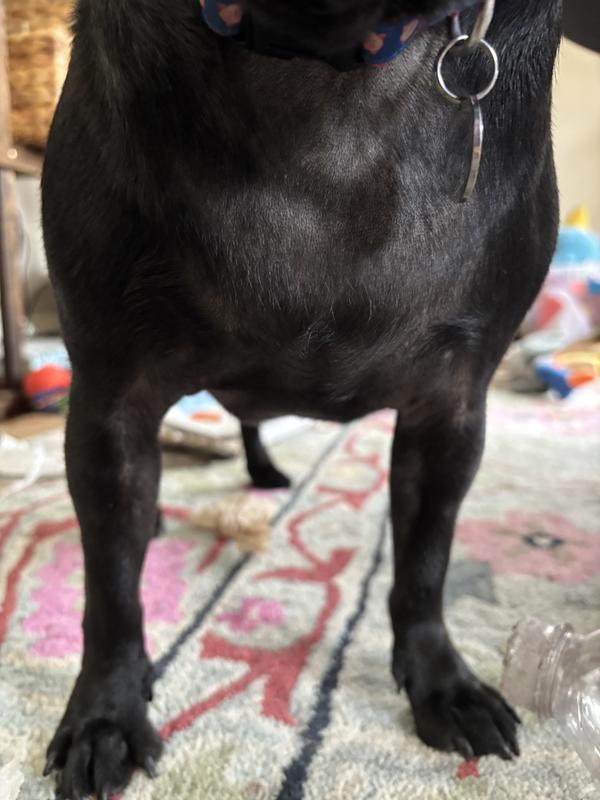 Three weeks after starting the supplement