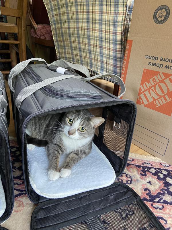 Sherpa Soft Carrier – Brooklyn Cat Cafe