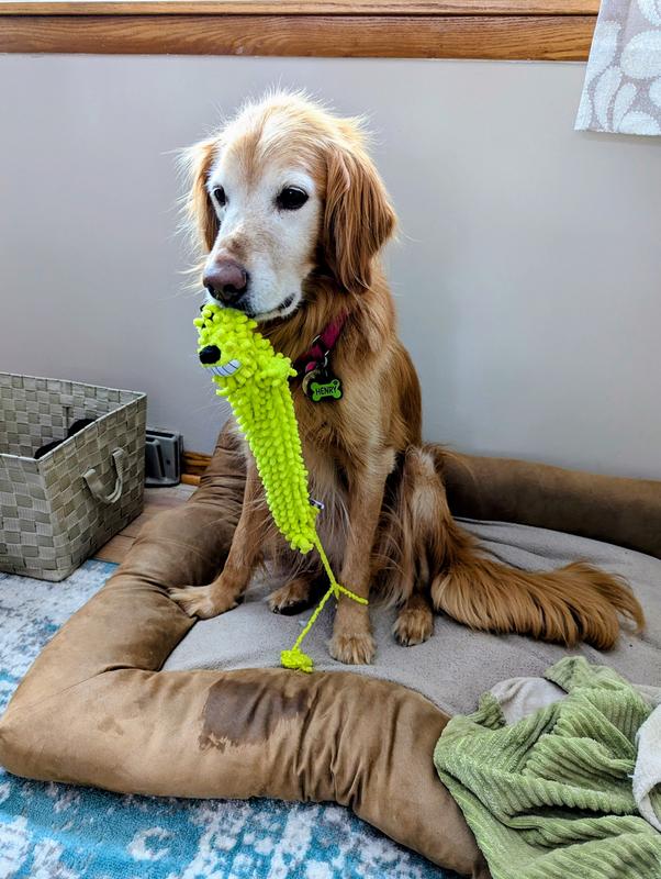 dangerous strings when chewed