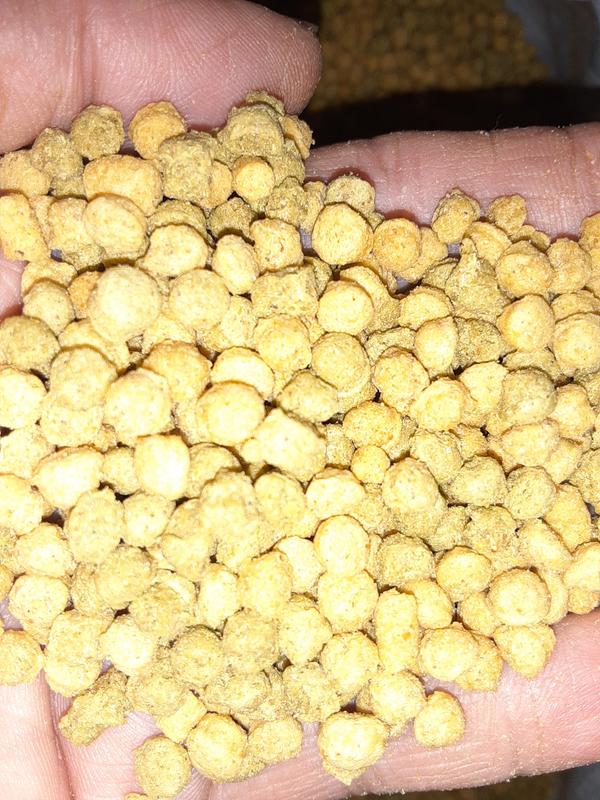 Fresh fruity smell and perfect size pieces