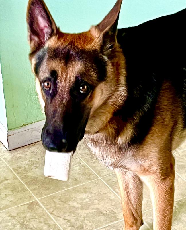 Anybody wanna share with me?