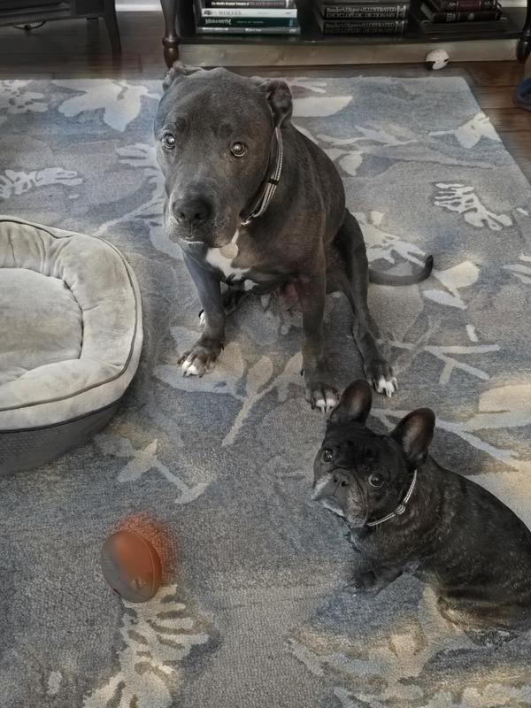 An empty football is clearly a broken football