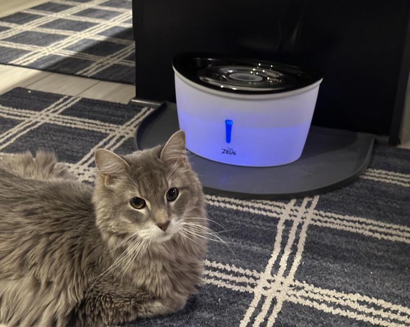 Not his fountain but he thinks it is.