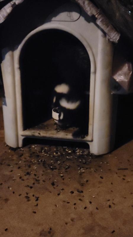 Messy and stains walkway