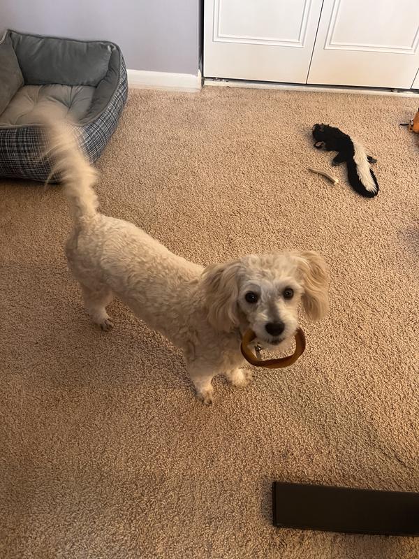 Paris lives these treats!