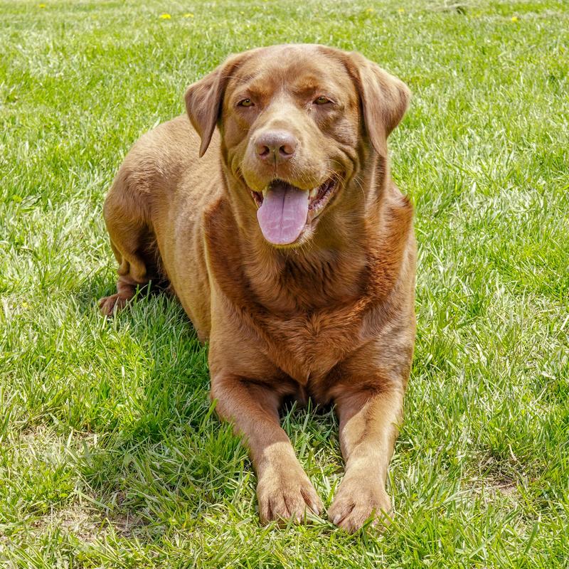 I'm ready for my roller disc!