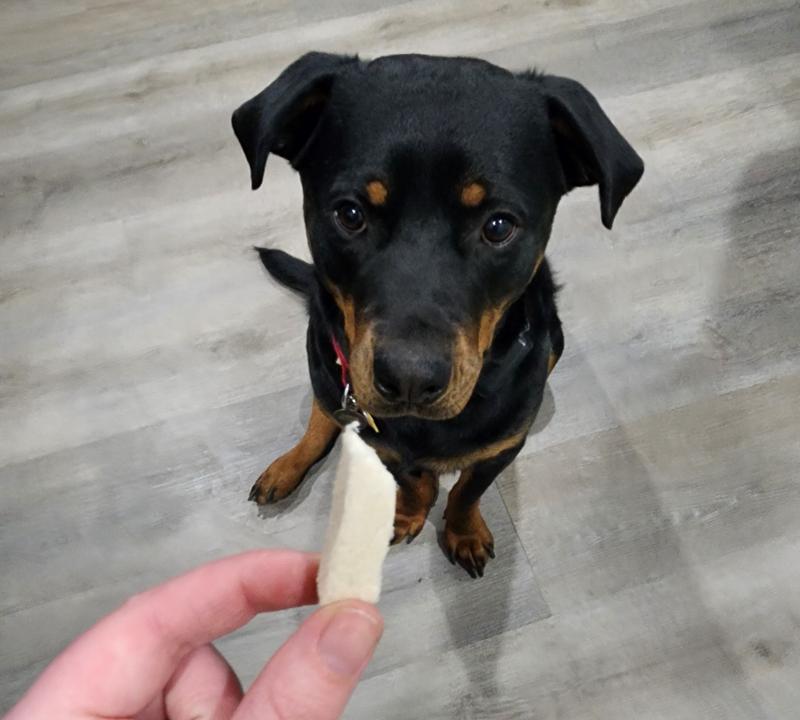 The dog also was a huge fan of these and they're easily resizable and perfect for training treats!