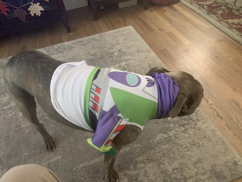 FETCH FOR PETS Disney Halloween Toy Story Buzz Lightyear Dog Costume