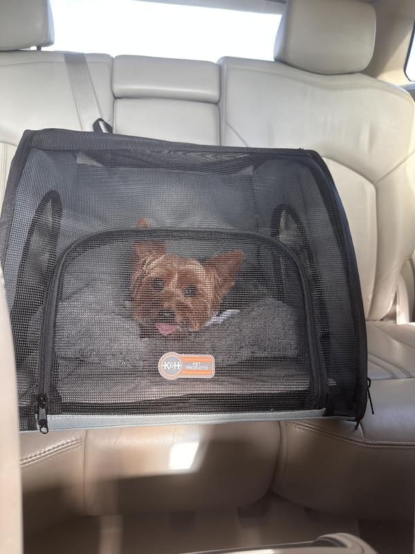 K H PET PRODUCTS Travel Safety Pet Carrier Large Chewy