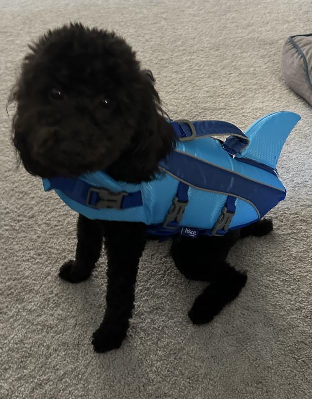 FRISCO Shark Dog Life Jacket, Gray, XSmall