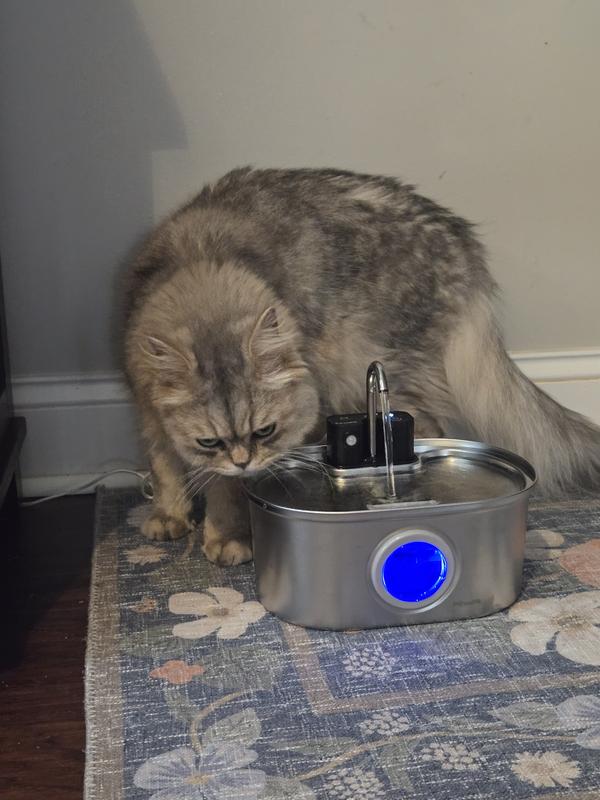 automatic interactive cat toys FEELNEEDY Goldfish Automatic Interactive Cat Toys with Tassels and LED –  FeelNeedy main image 1