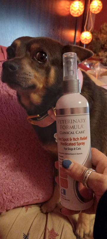 Veterinary formula clinical care hot spot and itch hotsell relief medicated spray