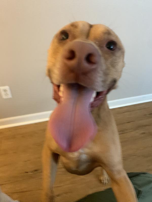 Happy Simba