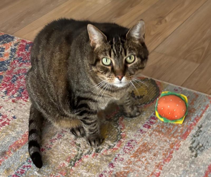 Buddy with his SpongeBob Burger Toy