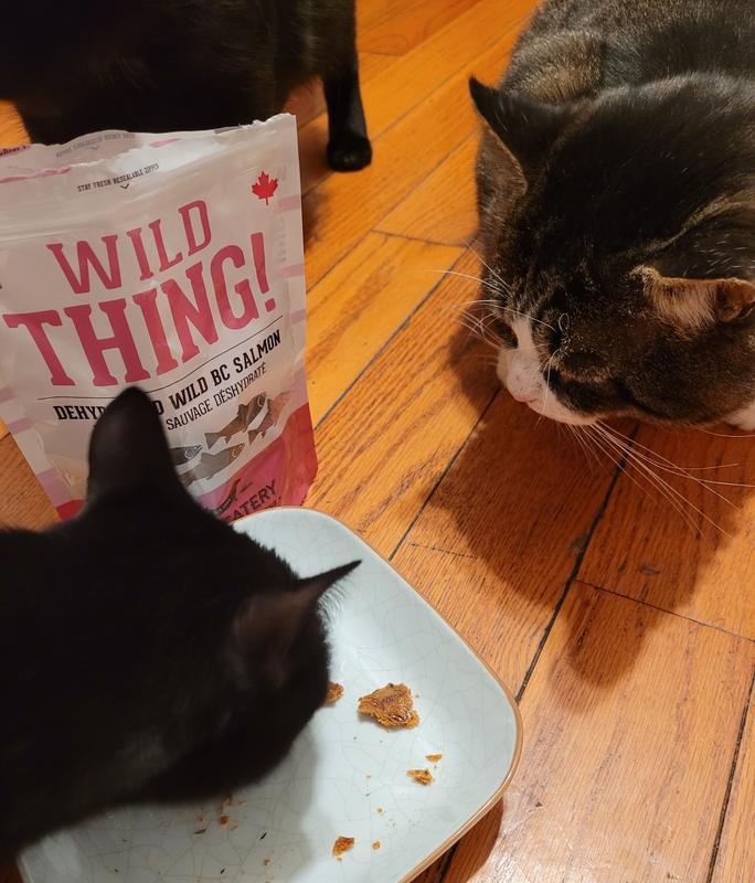 They were mostly polite about waiting turns but there was a lot of lip licking and some reaching!