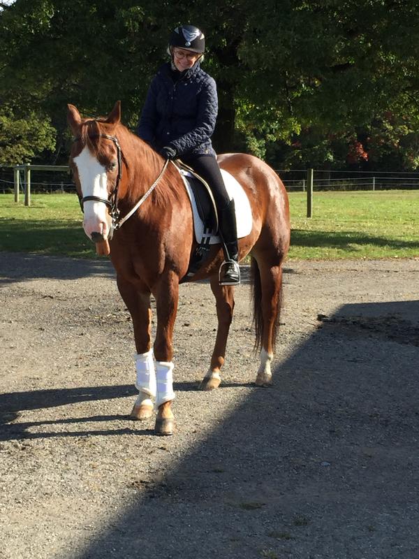 My Paint horse...needs his Equithrive Complete Joint Complete