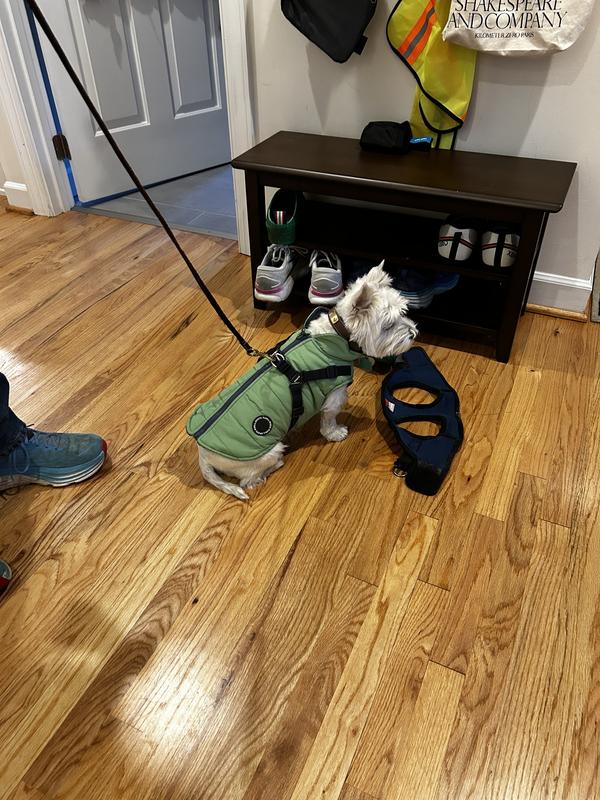 Elle in her new coat.