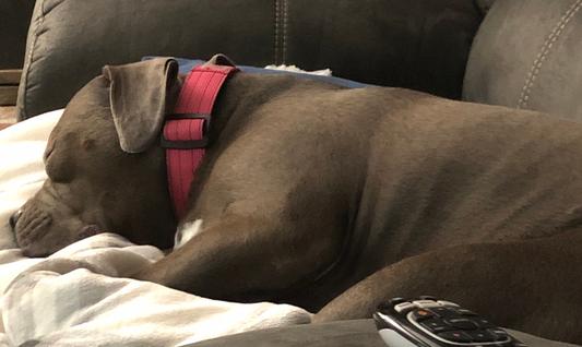 Sleeping comfortably finally