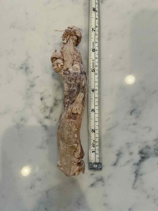 The treat was about 7" long