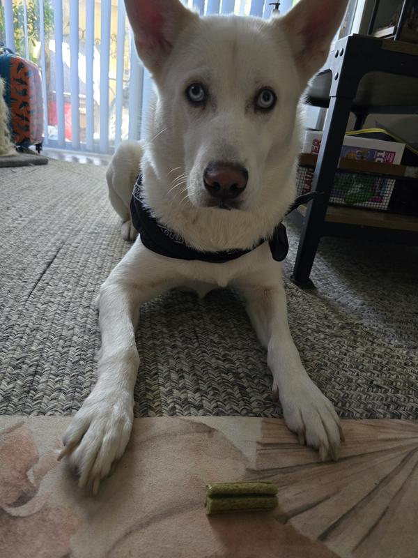 Deku waiting his turn