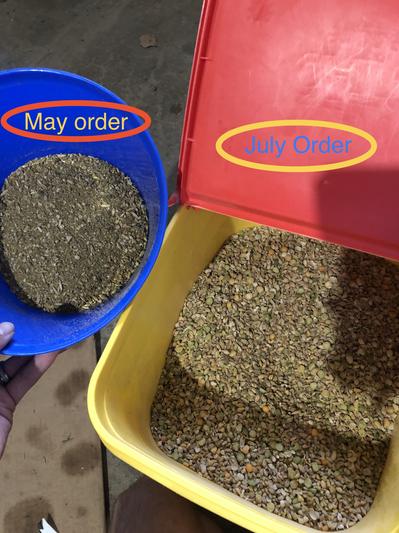 Old VS New grower feed from Mile Four