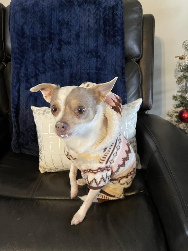 Frisco Fairisle Cozy Plush Fleece Dog & Cat PJs, Cream