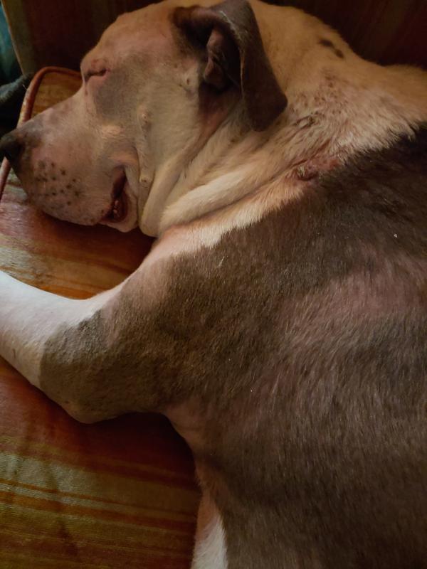 My poor Baby girl and Hotspots