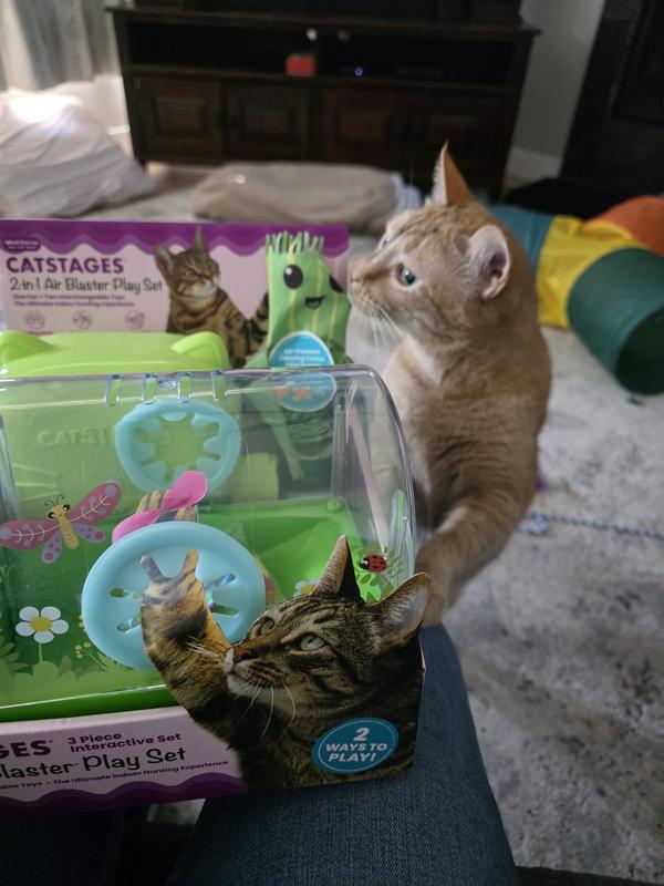 Product Reviews for CATSTAGES 2-in-1 Air Blaster Play Set Two  Interchangeable Terrarium & Dancing Cactus Electronic Preening Cat Toy,  Green